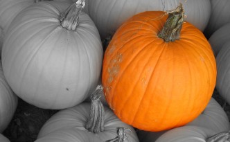 Pumpkins - Version 2